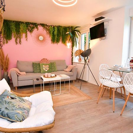 Le Nid Cosy - En Plein Coeur De Selestat Apartment Exterior foto