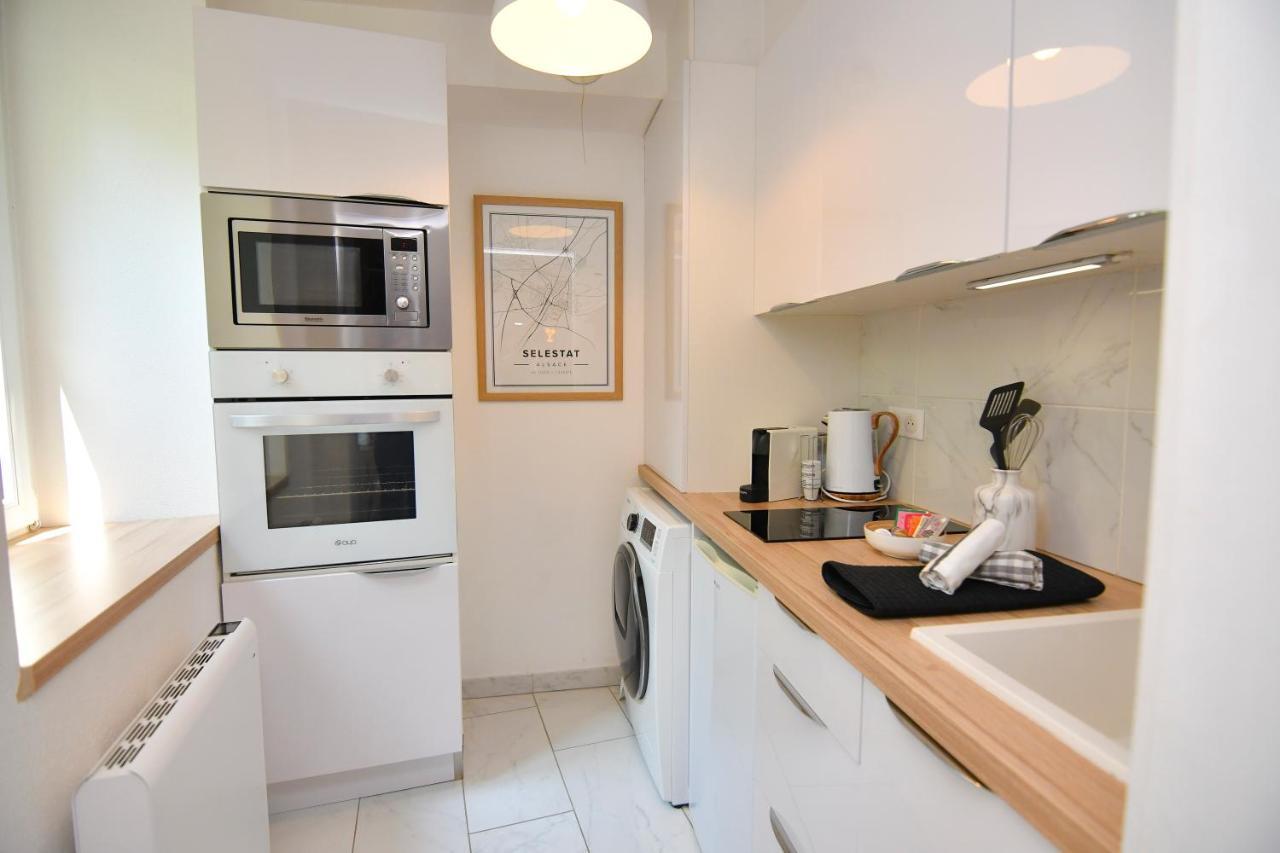Le Nid Cosy - En Plein Coeur De Selestat Apartment Exterior foto
